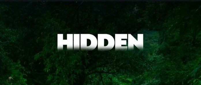 HIDDEN