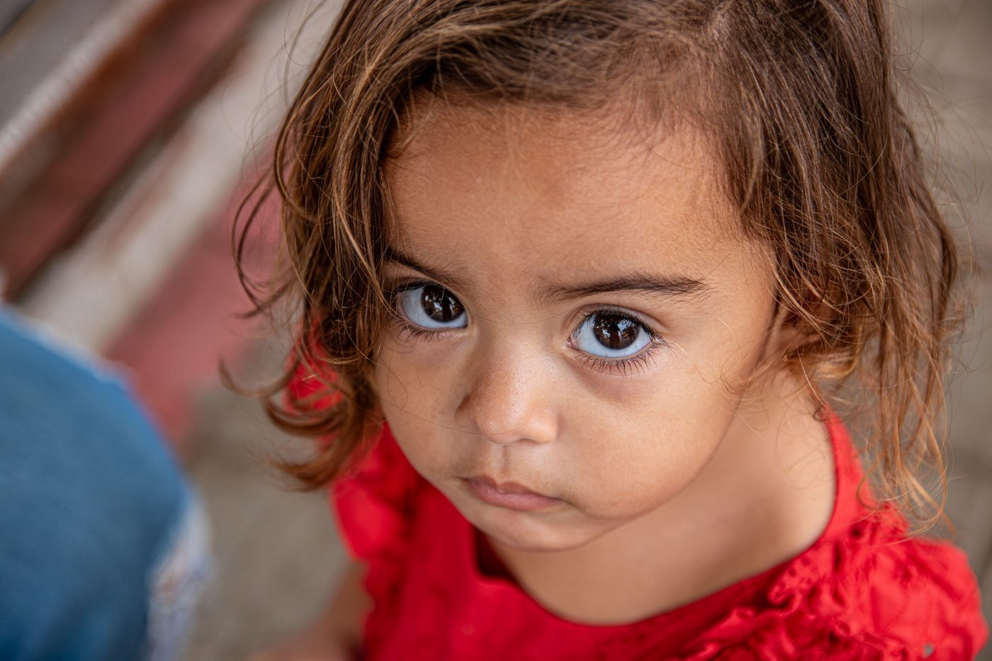 Curso de Fotografia Básica  Saulo Bastos