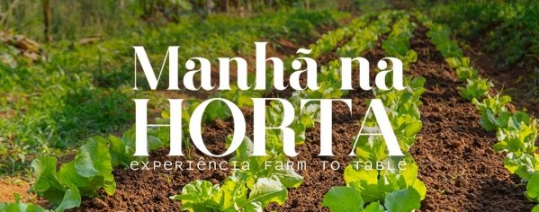 Imagem do evento Manhã na Horta - Edição Primavera e Dia das Crianças