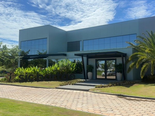 Imagem do evento Exposição "Reforma das Artes"