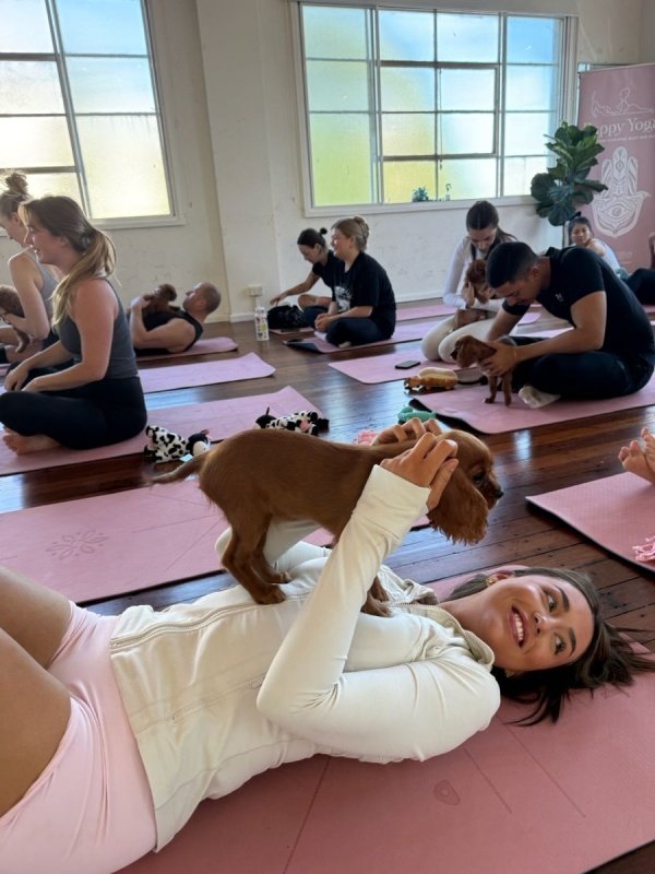 Imagem do evento Puppy Yoga das Gurias