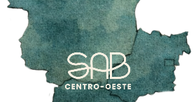 VI REUNIÃO DE ARQUEOLOGIA DO CENTRO-OESTE