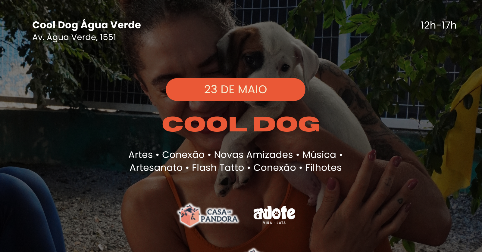 23/05 - Cool Dog