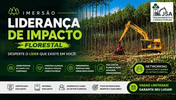 Imagem do evento Imersão Liderança de Impacto Florestal Desperte o Líder que Existe em Você!