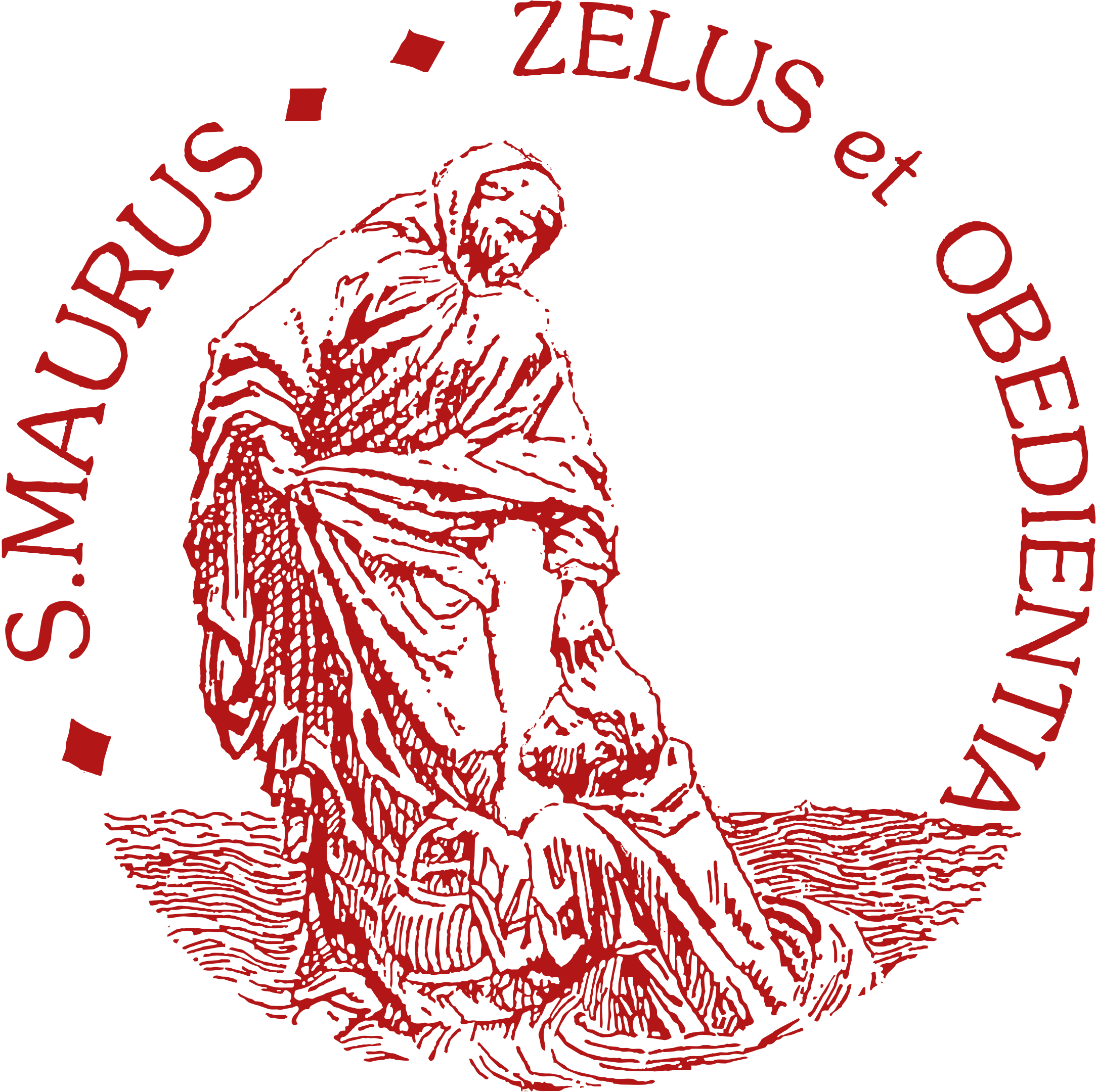 organizer