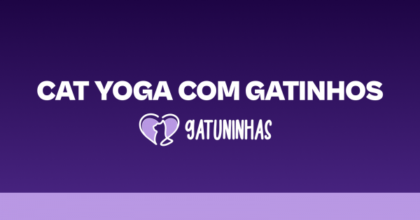 Imagem do evento Cat Yoga Gatuninhas