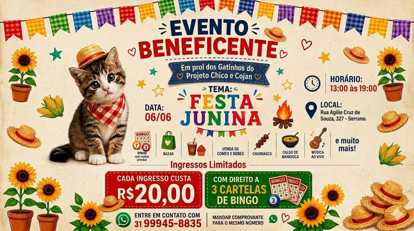 Festa Junina Beneficente - Belo Horizonte, MG