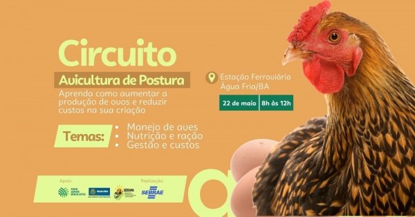 Imagem do evento Circuito Avicultura de Postura