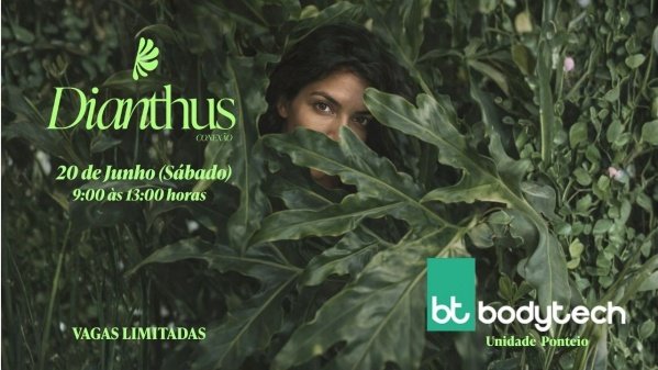 Imagem do evento Dianthus Conexão