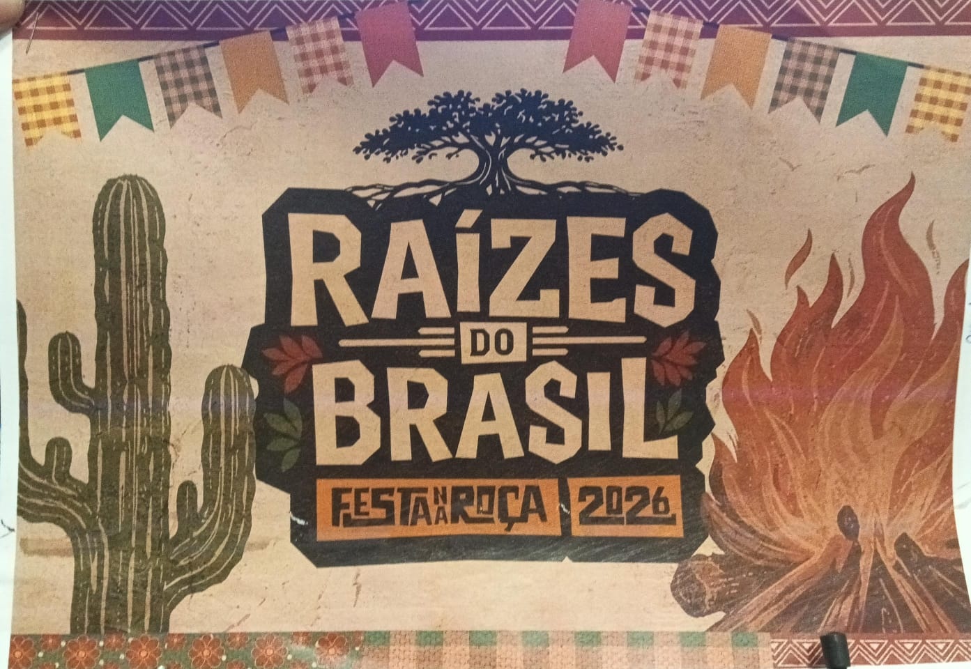 Festa na Roça do Colégio Palavra Viva - Raízes do Brasil - São Paulo, SP