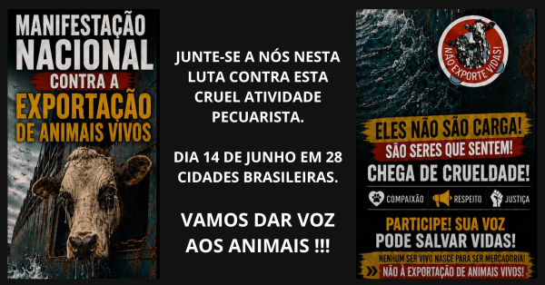 Imagem do evento MANIFESTAÇÃO NACIONAL CONTRA A EXPORTAÇÃO DE ANIMAIS VIVOS