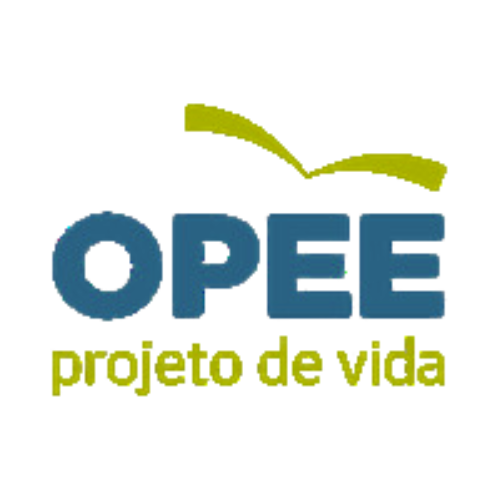 organizer