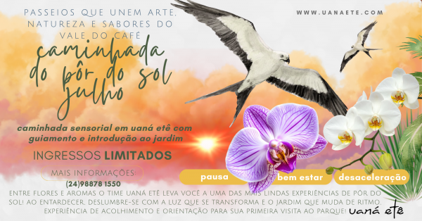 Imagem do evento CAMINHADA SENSORIAL AO ENTARDECER PARA ADULTOS 15H - 10 E 11 DE JULHO 2026