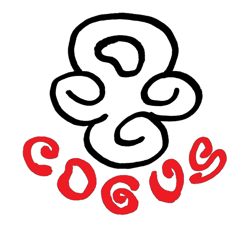 organizer