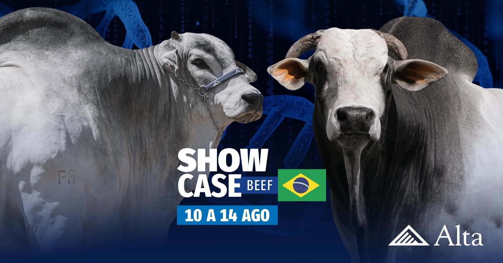 Showcase Beef Brasil