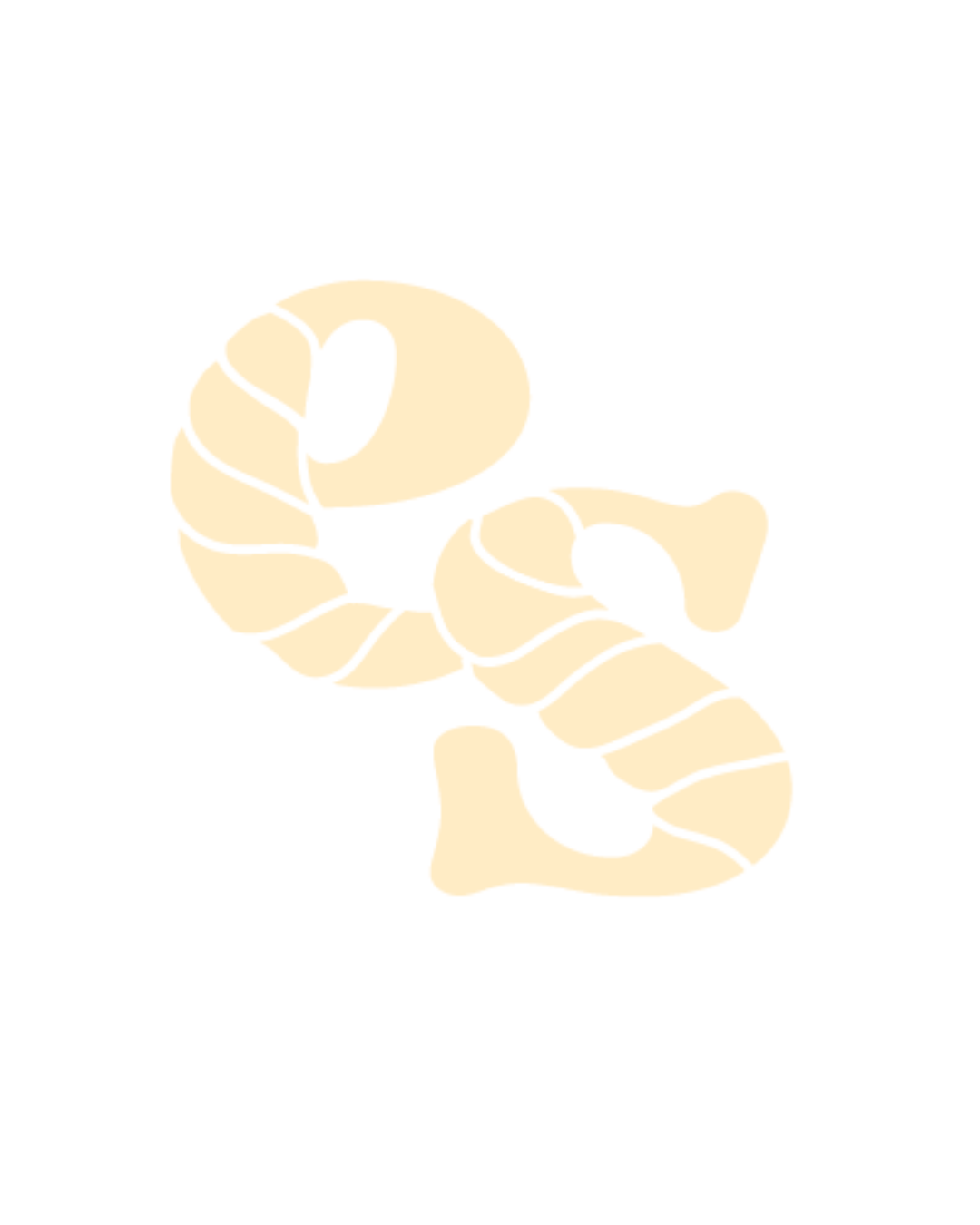 organizer