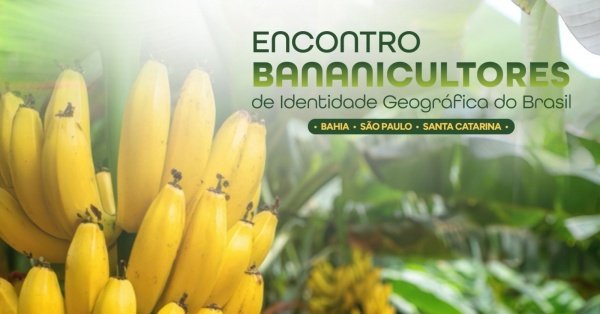 Imagem do evento Encontro de Bananicultores de Identidade Geográfica do Brasil: BA, SP & SC