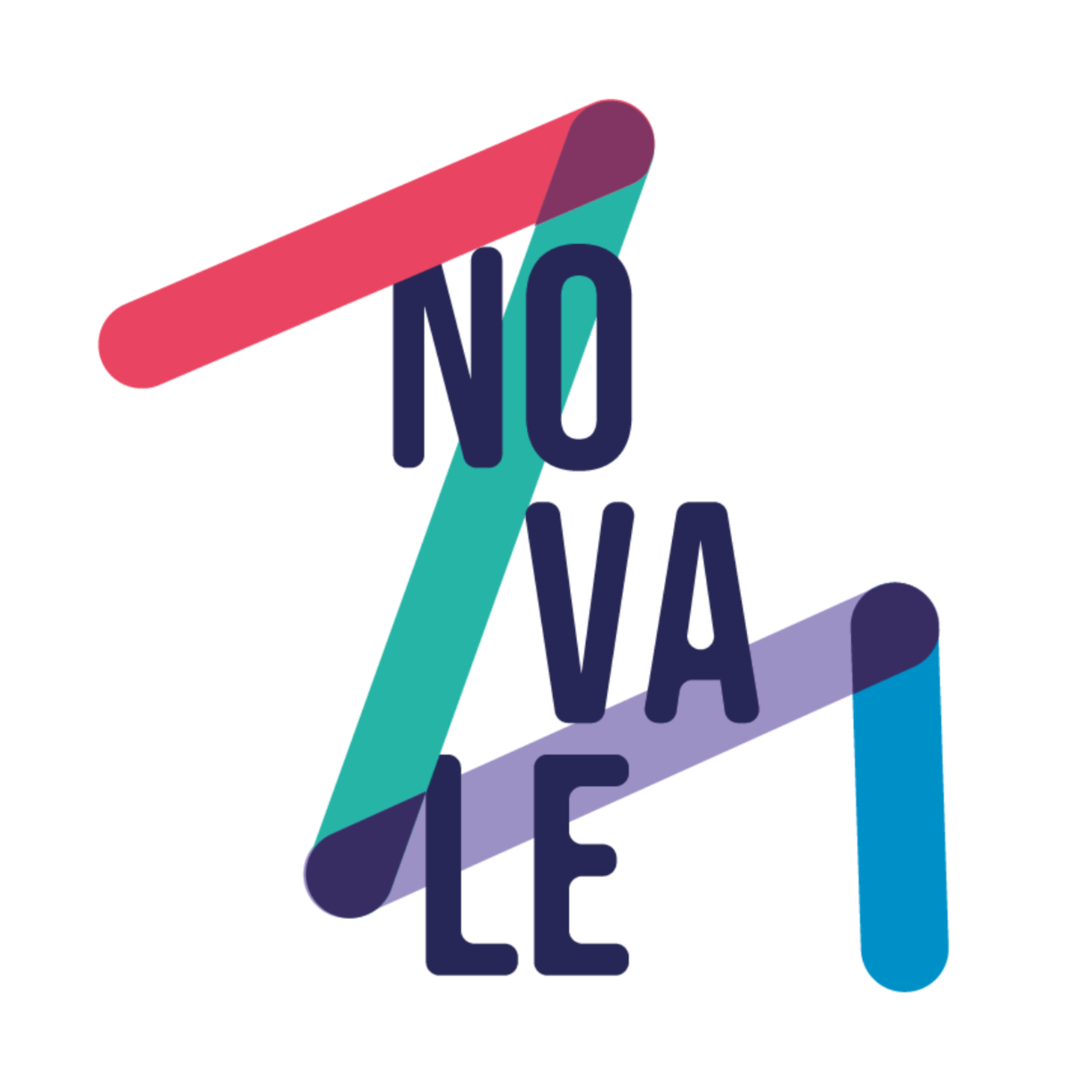 organizer