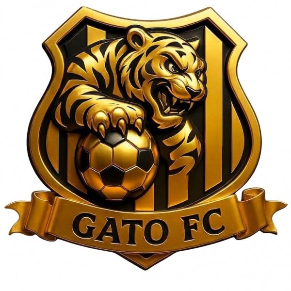 Imagem do evento Gato: Campeonato Municipal de Teofilândia 2026