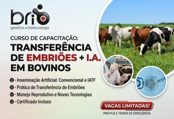 Imagem do evento Combo: curso de Inseminação Artificial em Bovinos e Transferência de Embriões Bovinos