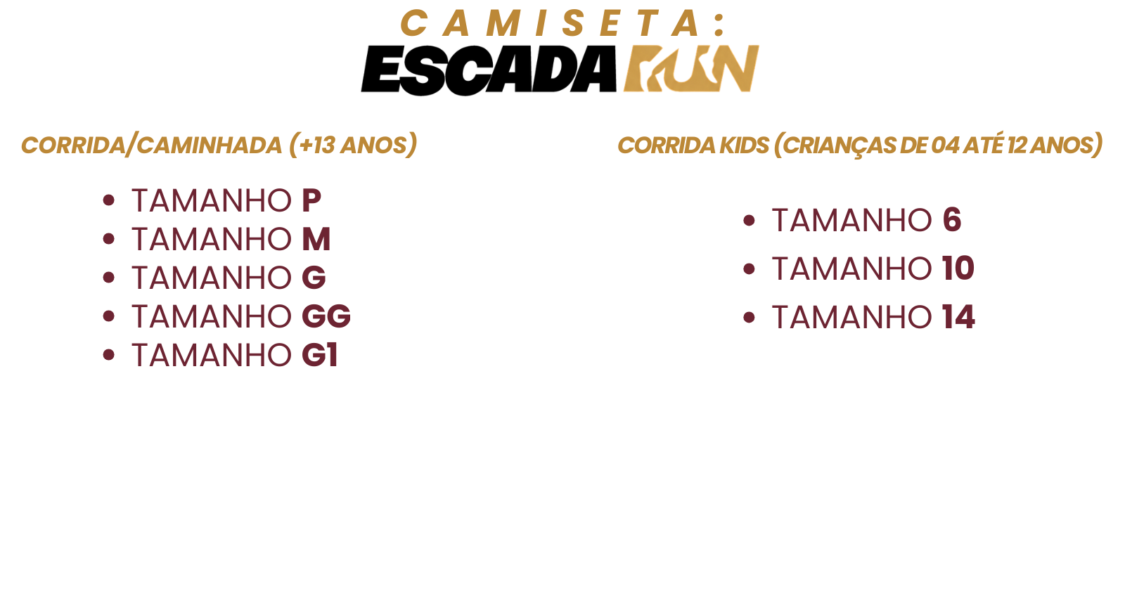 Imagem 4 - Informações sobre as camisetas