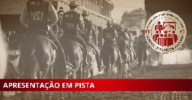 Imagem do evento CURSO OFICIAL ABCCMM - PREPARAÇÃO E APRESENTAÇÃO EM PISTA