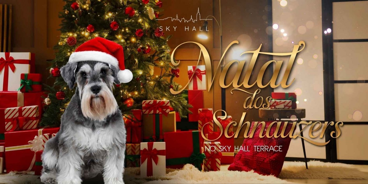 Source image — Pet Brunch Natal| Edição Especial Clube dos Schnauzer