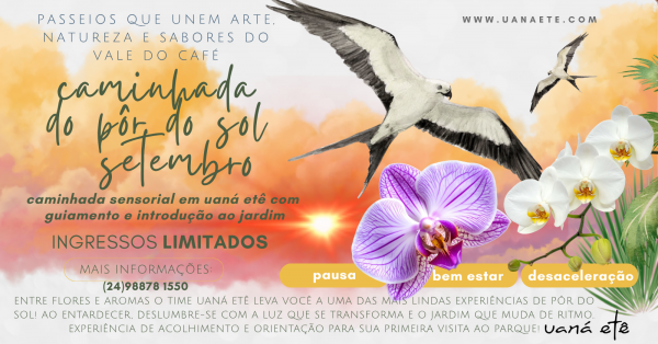 Imagem do evento CAMINHADA SENSORIAL AO ENTARDECER  PARA ADULTOS 15H - 11 E 12 DE SETEMBRO DE 2026