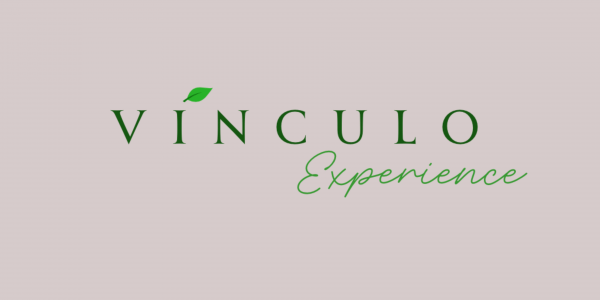 Imagem do evento Vínculo Experience