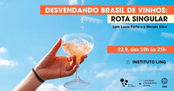 Imagem do evento Desvendando Brasil de Vinhos: Rota Singular