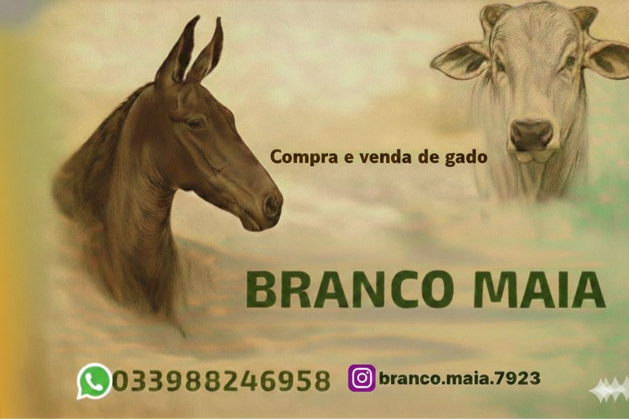 Imagem 6 da descrição do evento