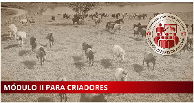 MÓDULO II PARA CRIADORES