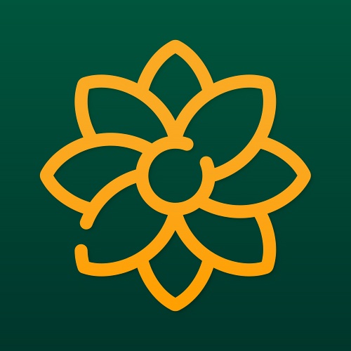 organizer