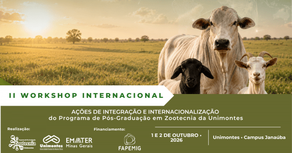 Imagem do evento II Workshop Internacional