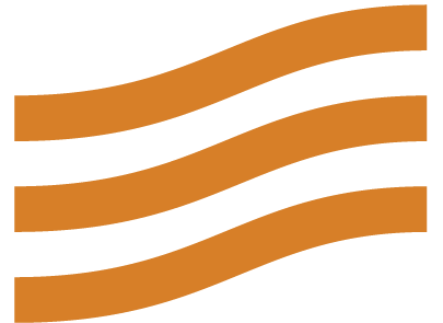 organizer