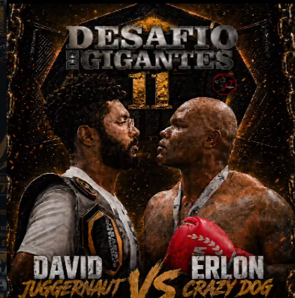 DESAFIO DE GIGANTE 11