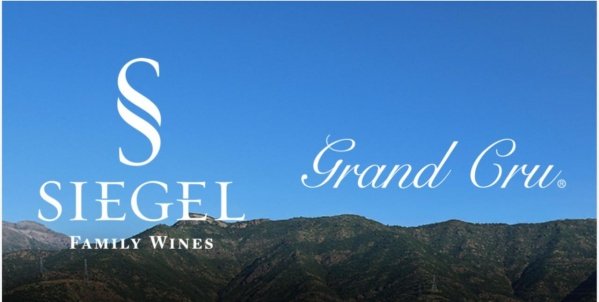 Imagem do evento WINE DINNER SIEGEL