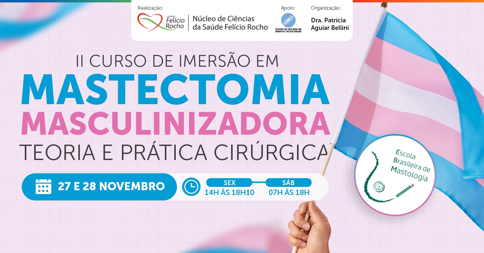 II Curso Imersão em Mastectomia Masculinizadora: Teoria e Prática Teórica