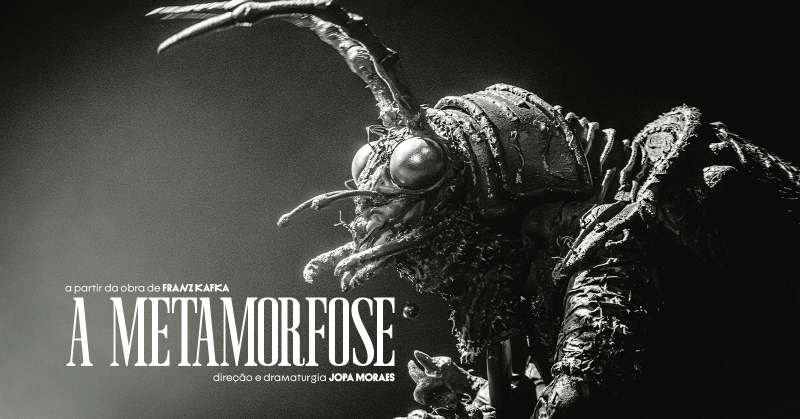 A METAMORFOSE (18/10, domingo)