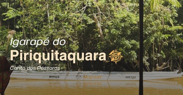 Imagem do evento 04/10 - Igarapé do Piriquitaquara - Canto do Pássaros