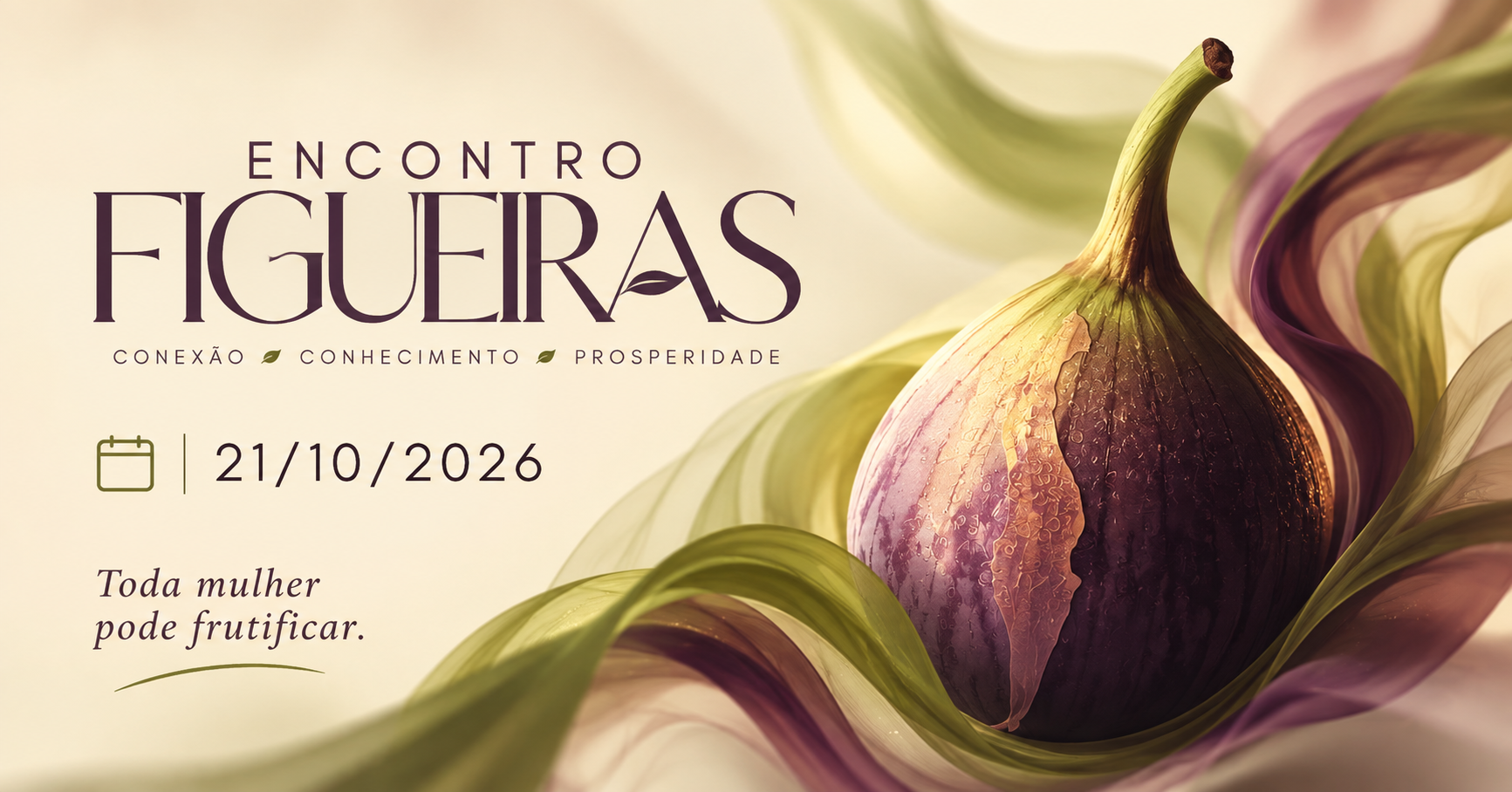 12º Encontro Figueiras