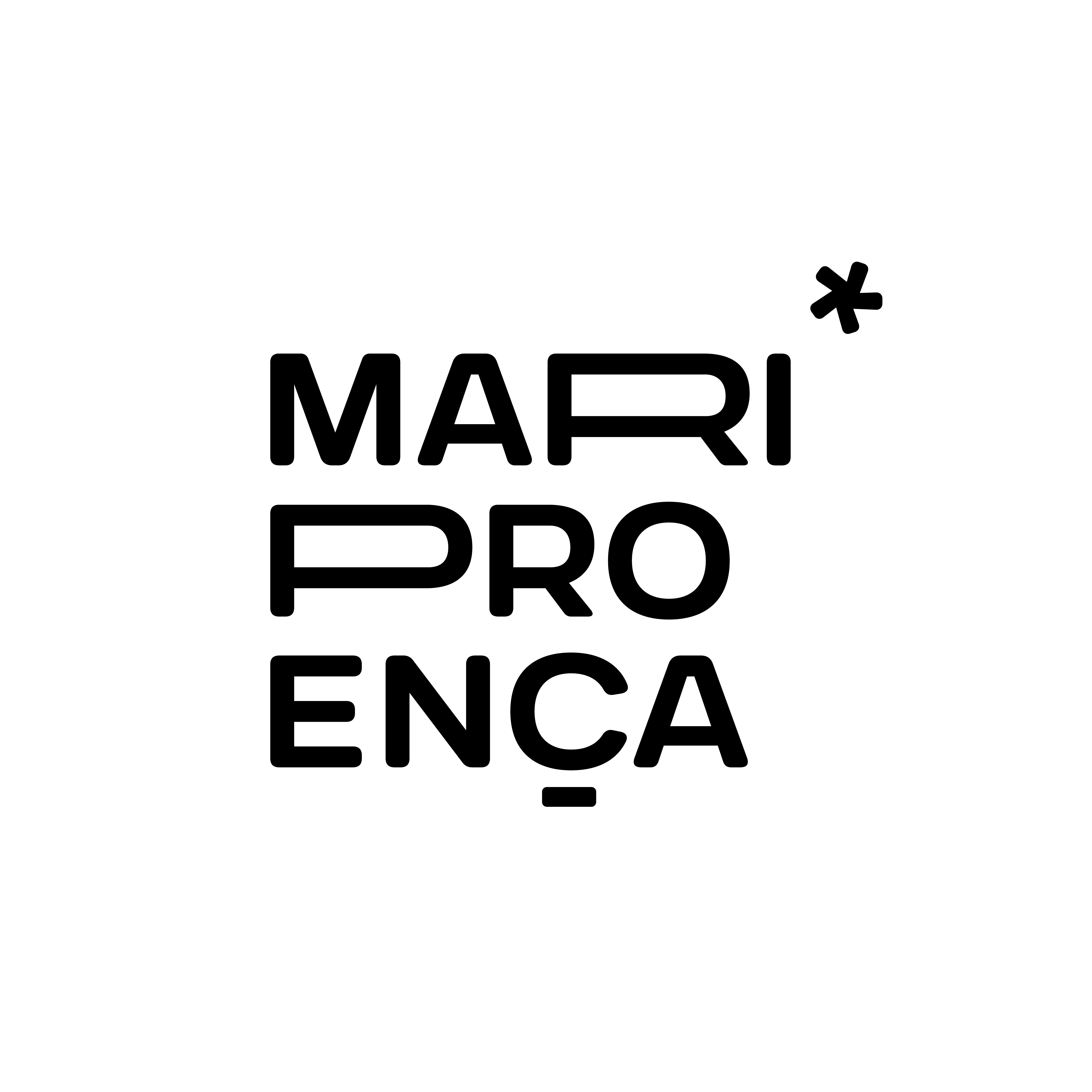 organizer