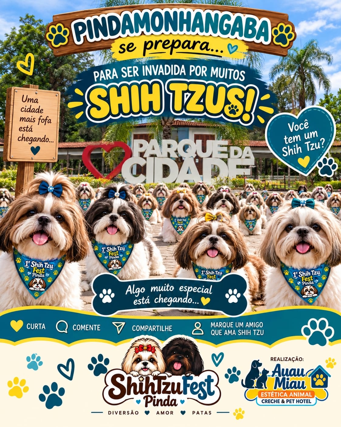 Source image — 1º Shih Tzu Fest Pinda