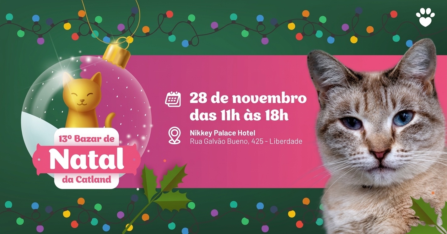Imagem da fonte — 13º Bazar de Natal Catland