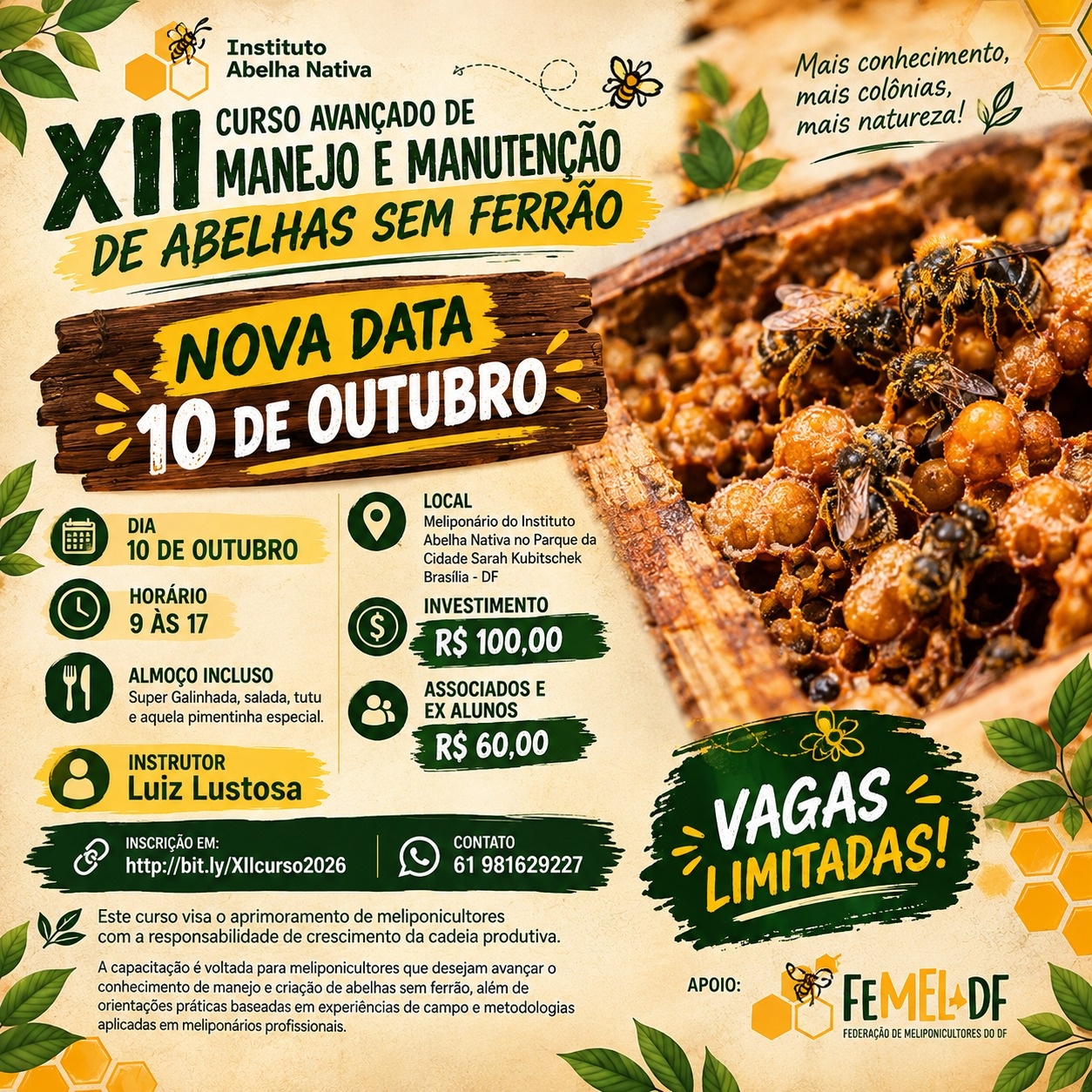 Imagem da fonte — XII Curso de Manejo e Manutenção de Abelhas Sem Ferrão