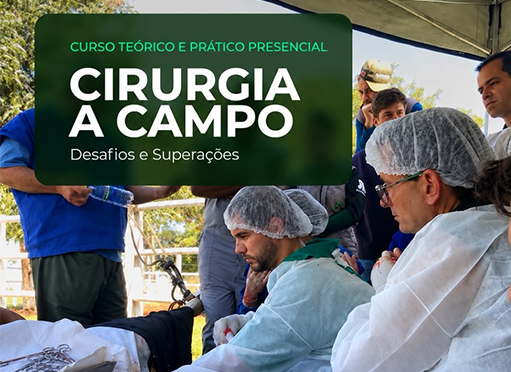 Imagem do evento Cirurgia a Campo  - Desafios e Superações