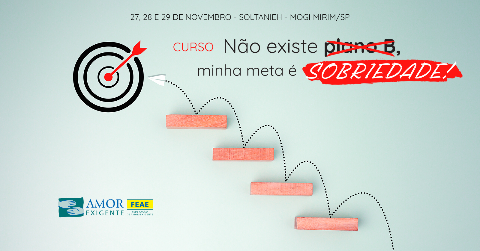 Curso: Não existe plano B, minha meta é Sobriedade