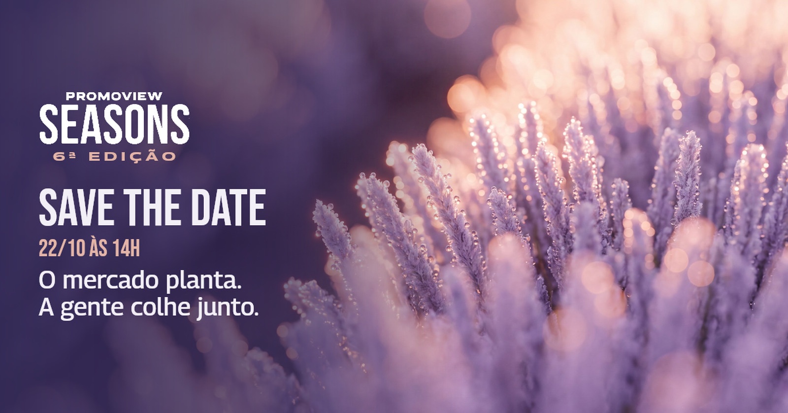 Promoview Seasons | 6ª edição