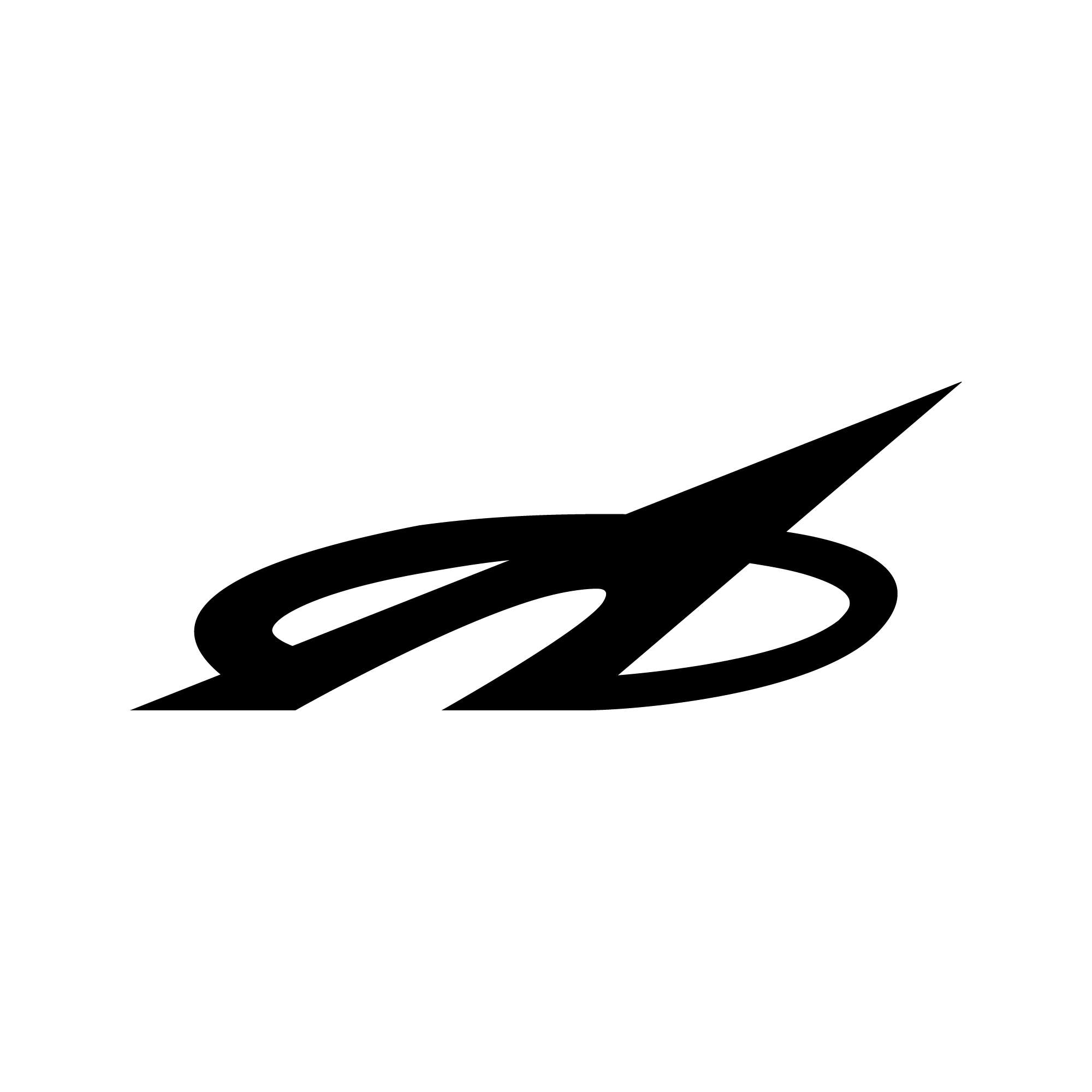 organizer