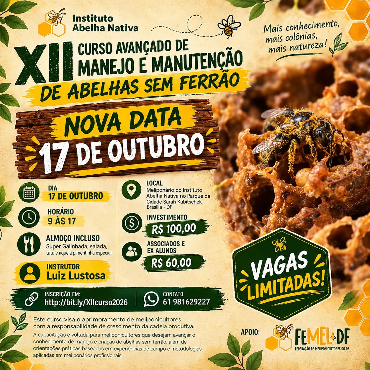 Imagen de la fuente — XII Curso de Manejo e Manutenção de Abelhas Sem Ferrão